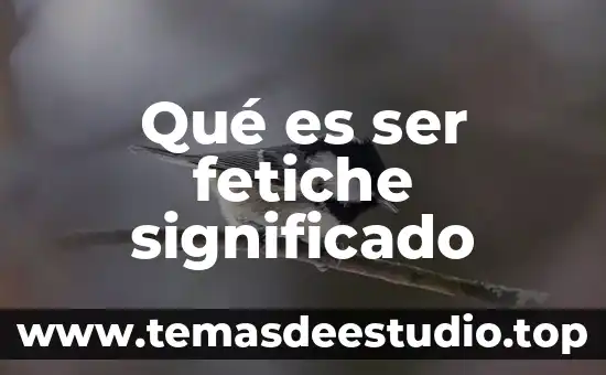 Que es ser socialista utopico 8 Qu茅 es ser fetiche significado