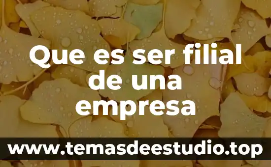 Que es el ser humano para el conductismo 4 Que es ser filial de una empresa