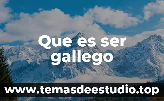 Que es ser un seguidor anonimo 6 Que es ser gallego