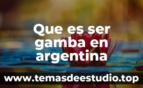 Que es ser un buen directivo 3 Que es ser gamba en argentina