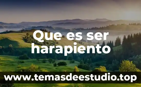Que es ser harapiento