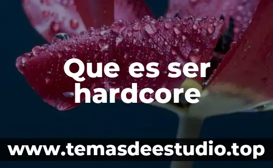 Que es ser eficaz y eficiente referente a la arquitectura 7 Que es ser hardcore