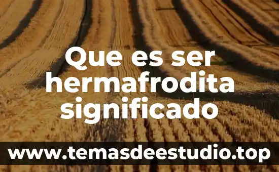 Qué es el significado de la palabra bullying 5 Que es ser hermafrodita significado