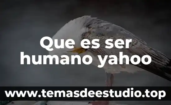 Que es el ser humano segun rene descartes 8 Que es ser humano yahoo