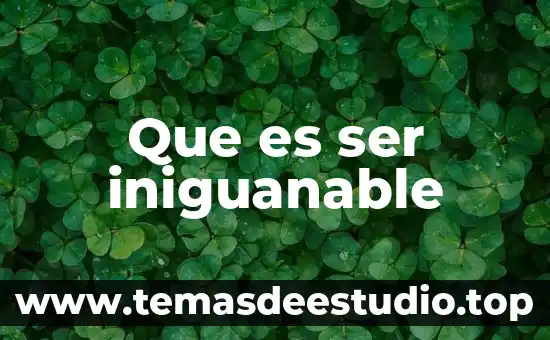 Que es ser virtuoso en filosofía 4 Que es ser iniguanable