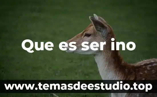 Que es ser ino