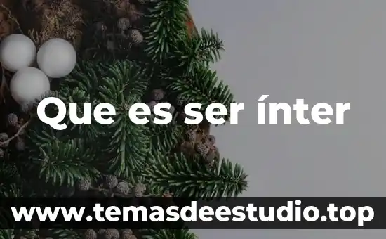 Que es ser opstinado 5 Que es ser ínter