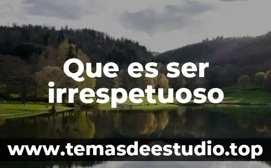 Que es ser irrespetuoso