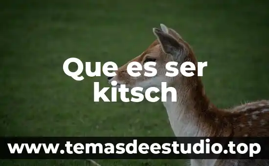 Que es ser kitsch