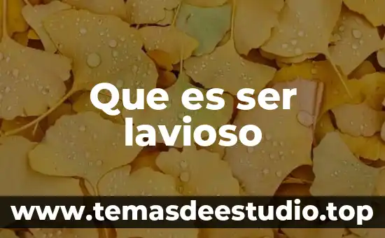 Que es ser un buen partido para las mujeres 8 Que es ser lavioso