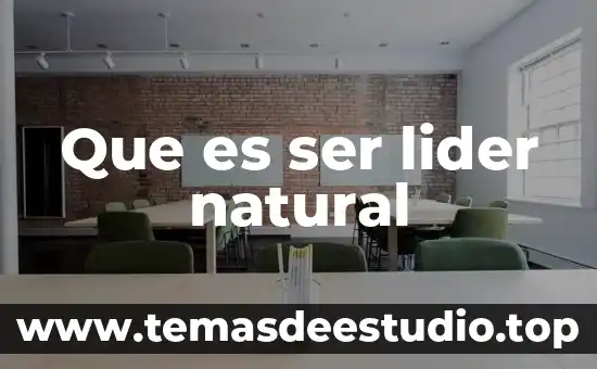 Qué es ser un líder emprendedor 5 Que es ser lider natural