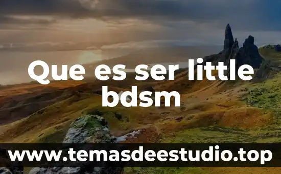 Que es un comando electrónico 8 Que es ser little bdsm