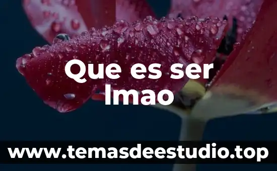 Que es ser lmao