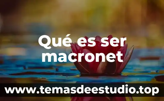 Que es el periodo clasico griego lo más importante 8 Qué es ser macronet