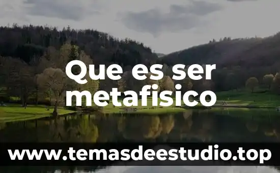 Que es ser metafisico