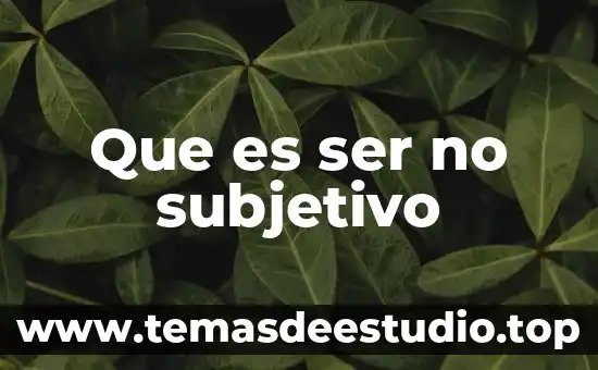 Que es subjetivo y objetivo ejemplo 8 Que es ser no subjetivo
