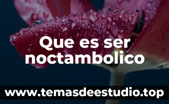 Qué es ser fetiche significado 4 Que es ser noctambolico