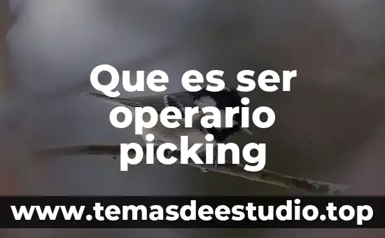 Que es ser empleado del sector privado 7 Que es ser operario picking