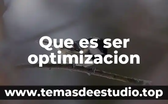 Que es ser excesivo 4 Que es ser optimizacion