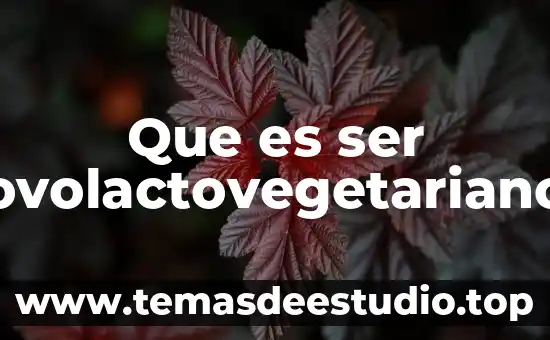 Que es ser eficaz y eficiente referente a la arquitectura 3 Que es ser ovolactovegetariano