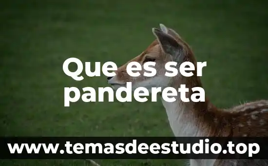 Que es ser pandereta