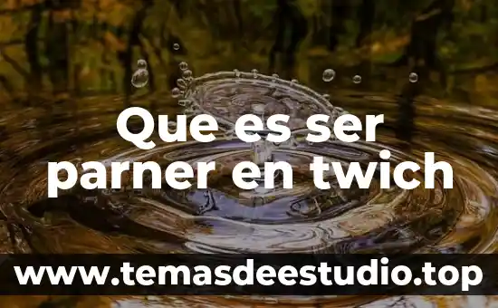 Que es la asertividad y como ser mas asertivo 6 Que es ser parner en twich