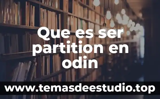 Que es ser partition en odin