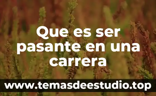 Que es ser pasante en una carrera