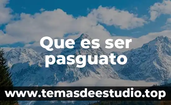 Que es ser pasguato