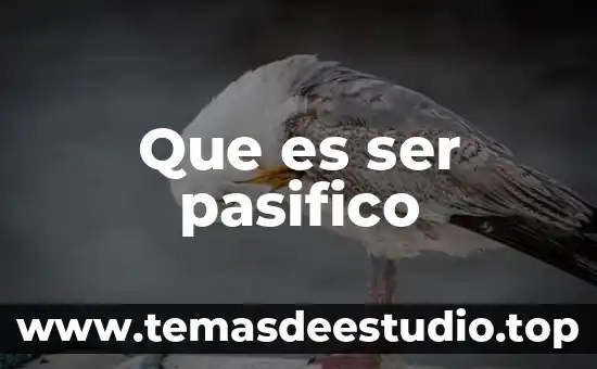 Que es ser eficaz y eficiente referente a la arquitectura 5 Que es ser pasifico