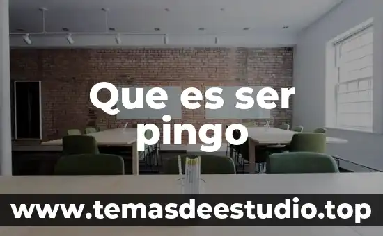 Que es ser pingo