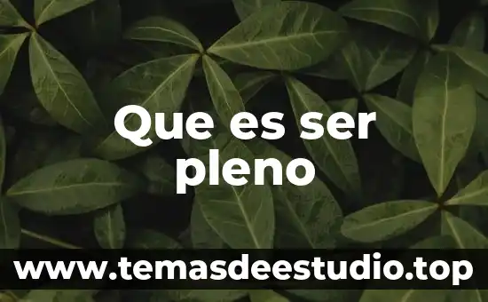 Que es ser pleno