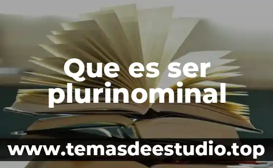 Que es ser plurinominal