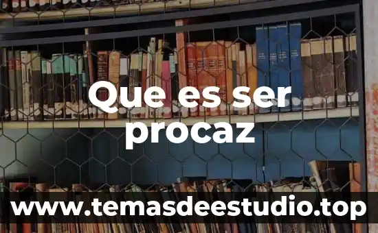 Que es ser procaz