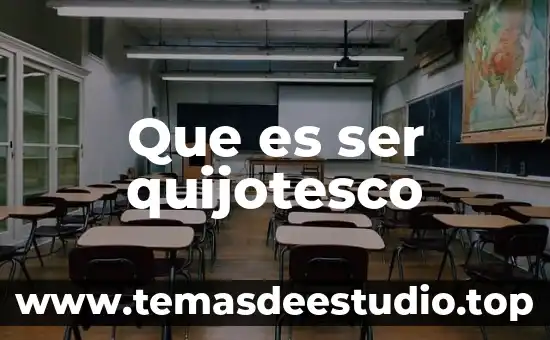 Que es ser quijotesco