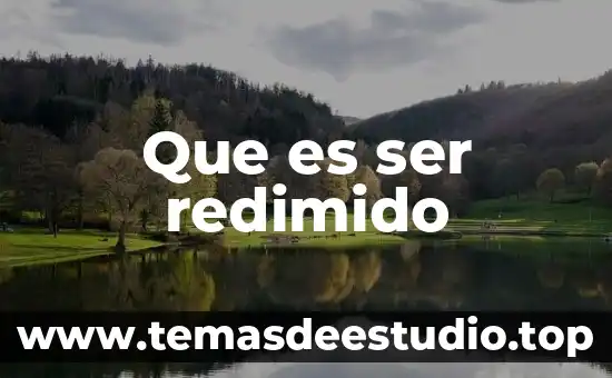 Que es un liron animal 4 Que es ser redimido