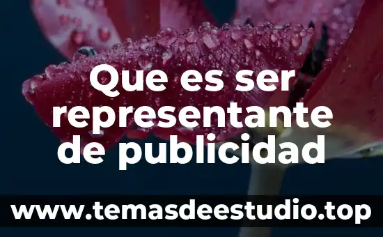 Qué es mejor para un país ser socialista o capitalista 3 Que es ser representante de publicidad