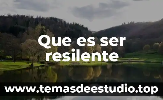 Qué es el estómago concepto 6 Que es ser resilente