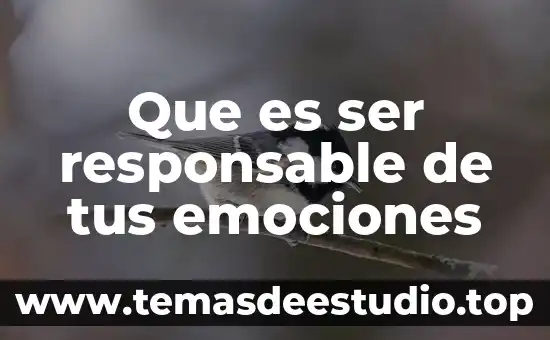 Que es la expresion de emociones en la literatura 4 Que es ser responsable de tus emociones