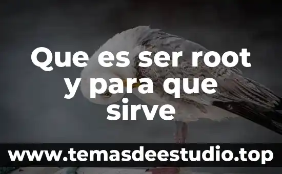 Que es ser root y para que sirve