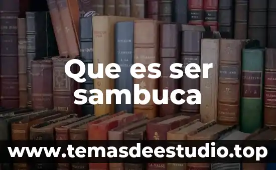 Que es ser sambuca