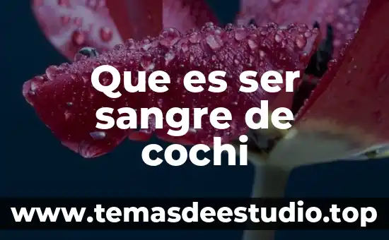 Que es ser sangre de cochi