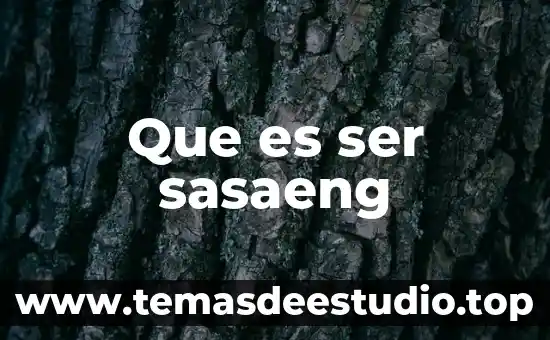Que es ser sasaeng