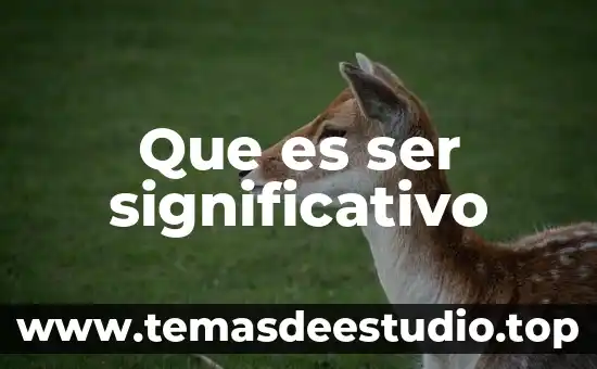 Que es ser significativo