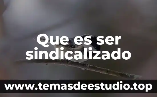 Que es ser fertil para naturaleza 7 Que es ser sindicalizado