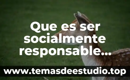 Atividade socialmente útil que es 8 Que es ser socialmente responsable definicion