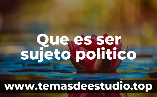 Worm reducer que es 5 Que es ser sujeto politico