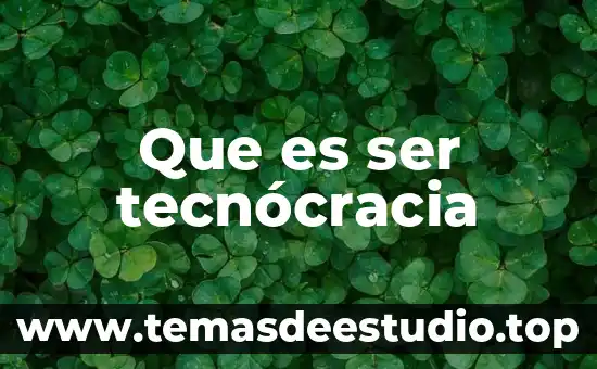 Que es ser un politico corrupto 7 Que es ser tecnócracia