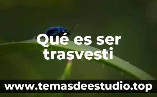 Qué es ser fetiche significado 7 Qué es ser trasvesti