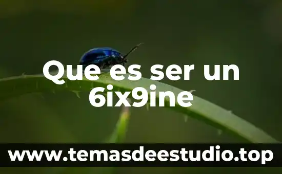 Que es ser un 6ix9ine